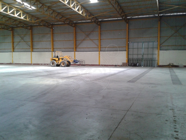 Θήβα Βιομηχανικό Κτιριακό Συγκρότημα 18.000τμ Κωδ. 648 — Φωτογραφία 3