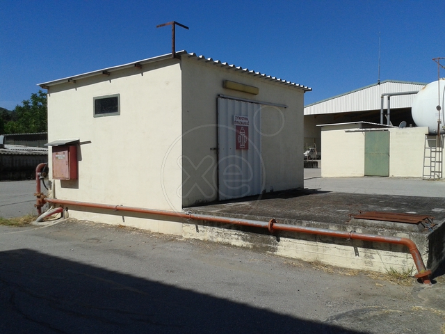 Θήβα Βιομηχανικό Κτιριακό Συγκρότημα 18.000τμ Κωδ. 648 — Φωτογραφία 4