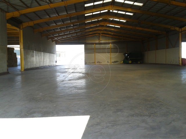 Θήβα Βιομηχανικό Κτιριακό Συγκρότημα 18.000τμ Κωδ. 648 — Φωτογραφία 5