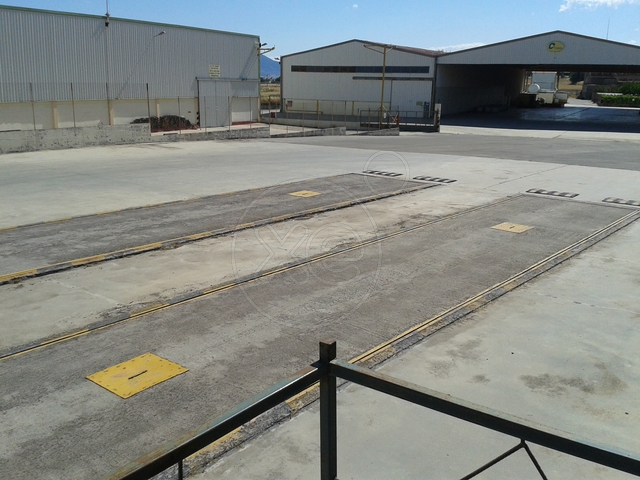 Θήβα Βιομηχανικό Κτιριακό Συγκρότημα 18.000τμ Κωδ. 648 — Φωτογραφία 7