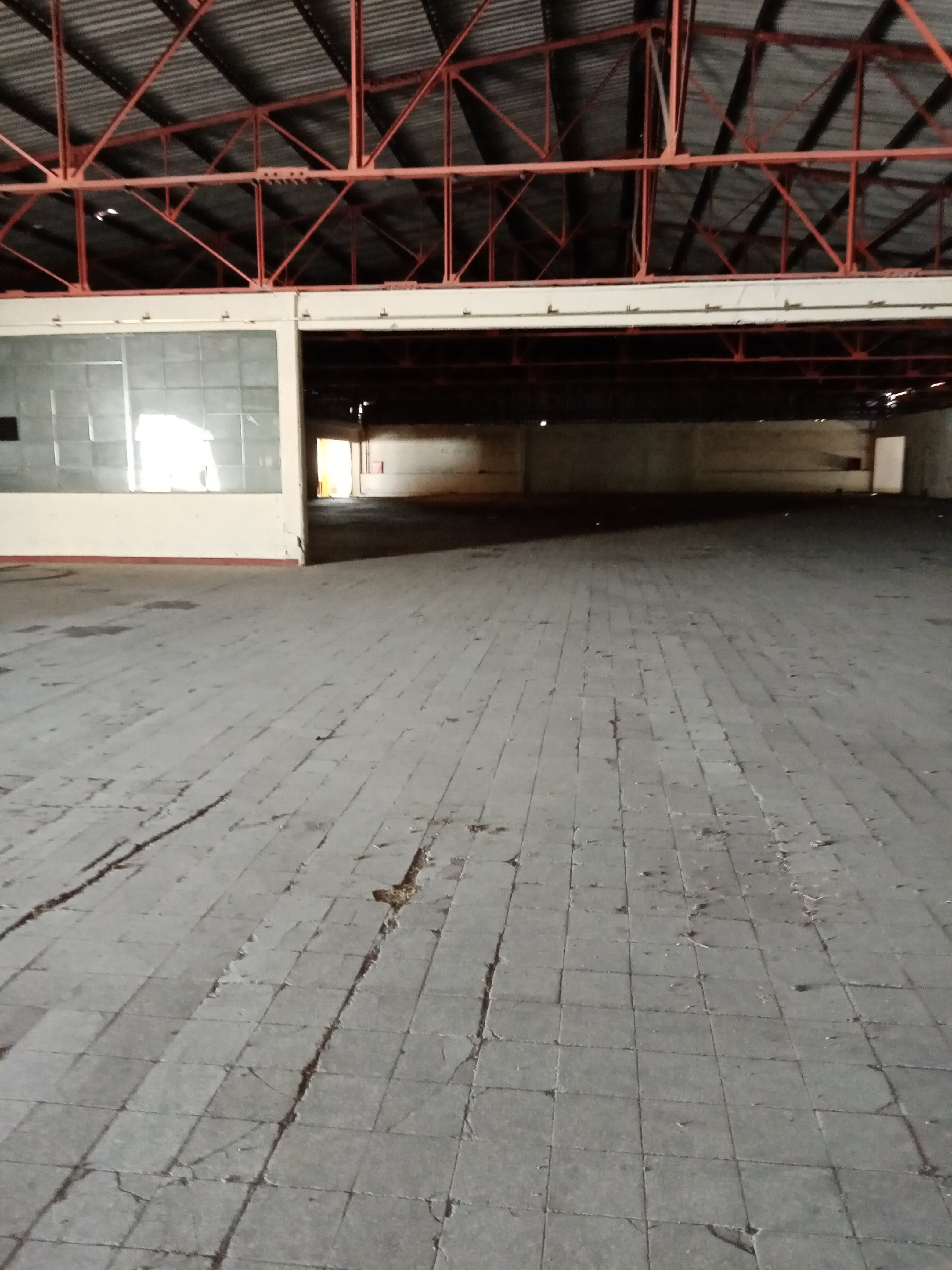 Θήβα Αποθηκευτικό Κτίριο  4.500τμ  Κωδ.673 — Φωτογραφία 2