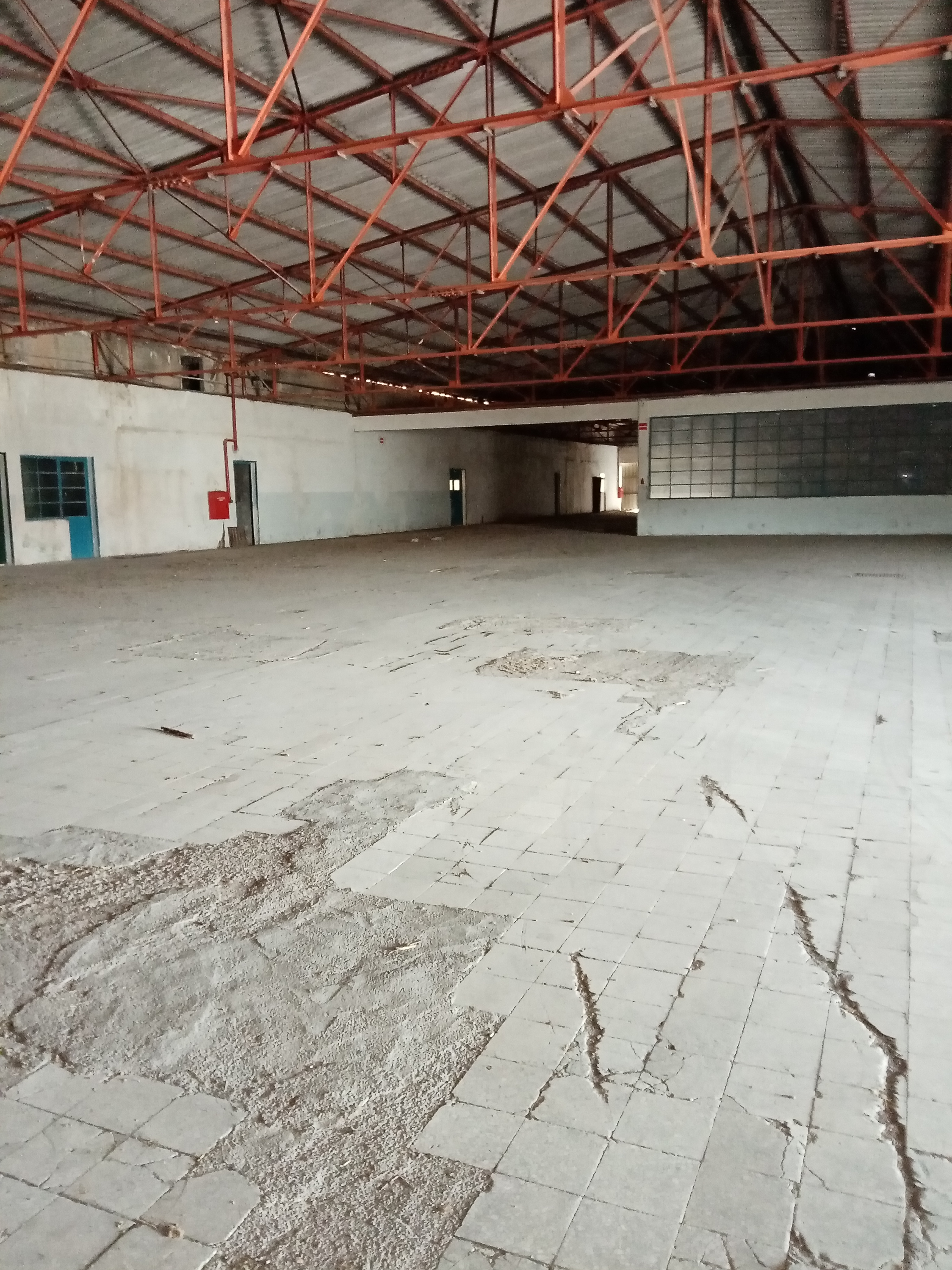 Θήβα Αποθηκευτικό Κτίριο  4.500τμ  Κωδ.673 — Φωτογραφία 3