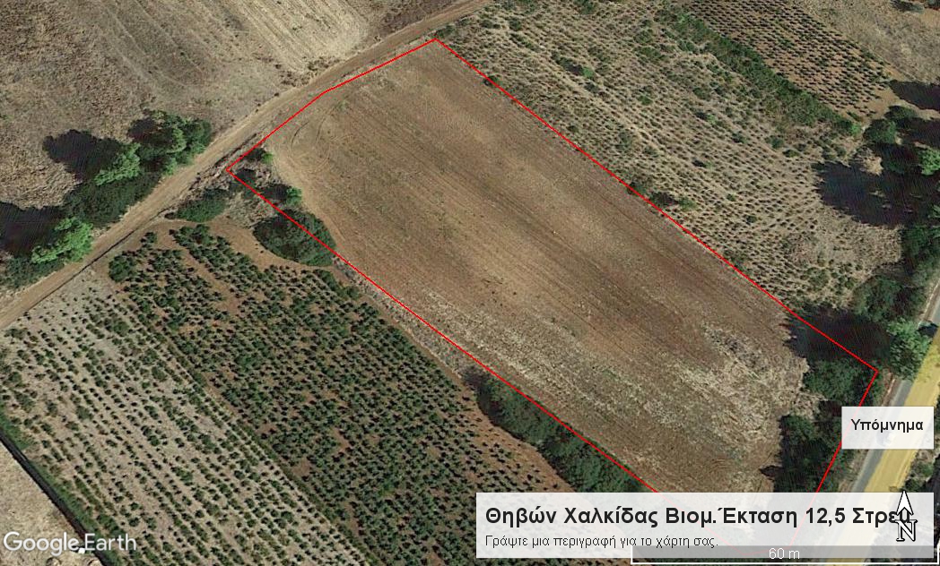 Ριτσώνα Βιομηχανική Έκταση 12,5 Στρεμ. Κωδ.687