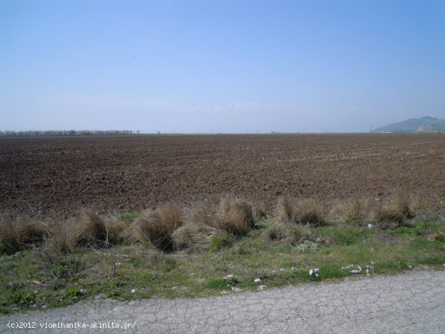 Λαρισα Βιομηχανικη Εκταση 87 Στρεμ. - Κωδ. 305 — Φωτογραφία 2