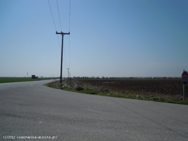 Λαρισα Βιομηχανικη Εκταση 87 Στρεμ. - Κωδ. 305 — Φωτογραφία 4