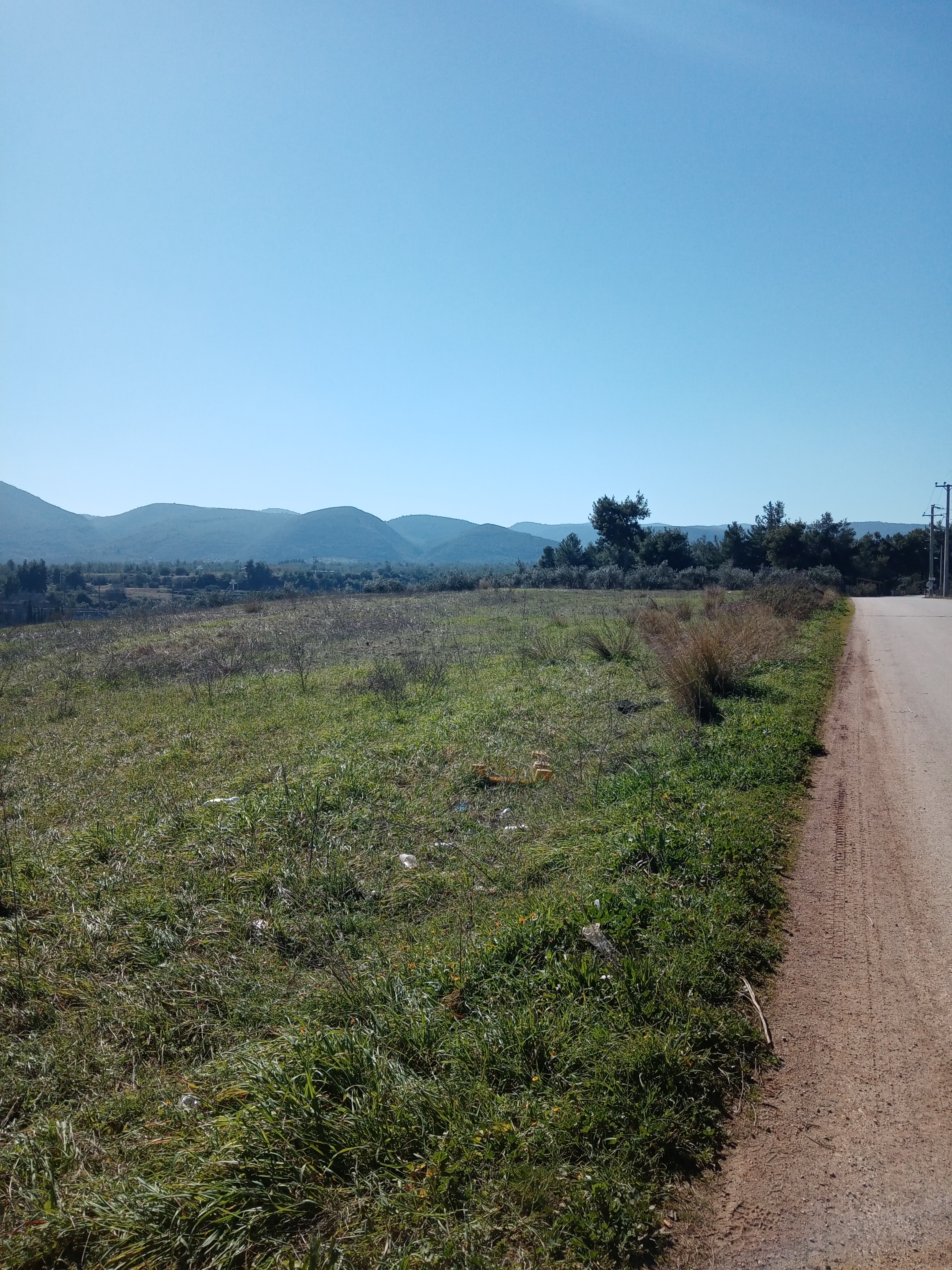 Αυλώνα Εντός ΒΙ-ΠΑ Έκταση 10,6 Στρεμ. Κωδ. 714