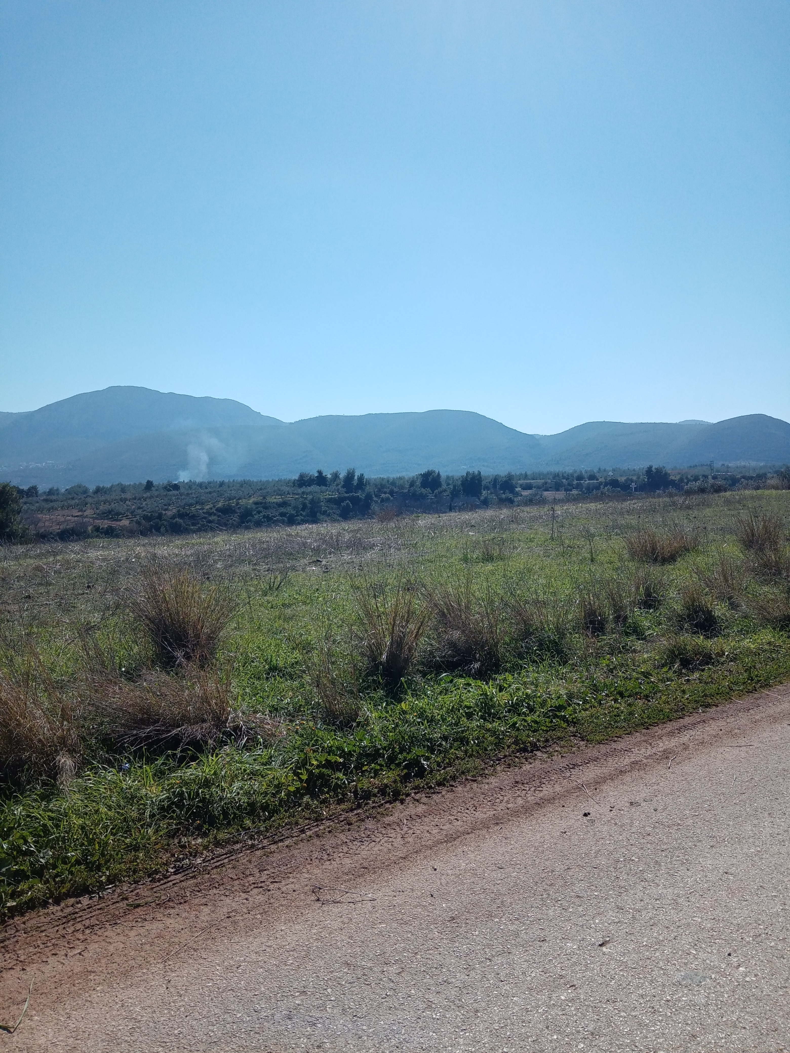 Αυλώνα Εντός ΒΙ-ΠΑ Έκταση 10,6 Στρεμ. Κωδ. 714 — Φωτογραφία 2