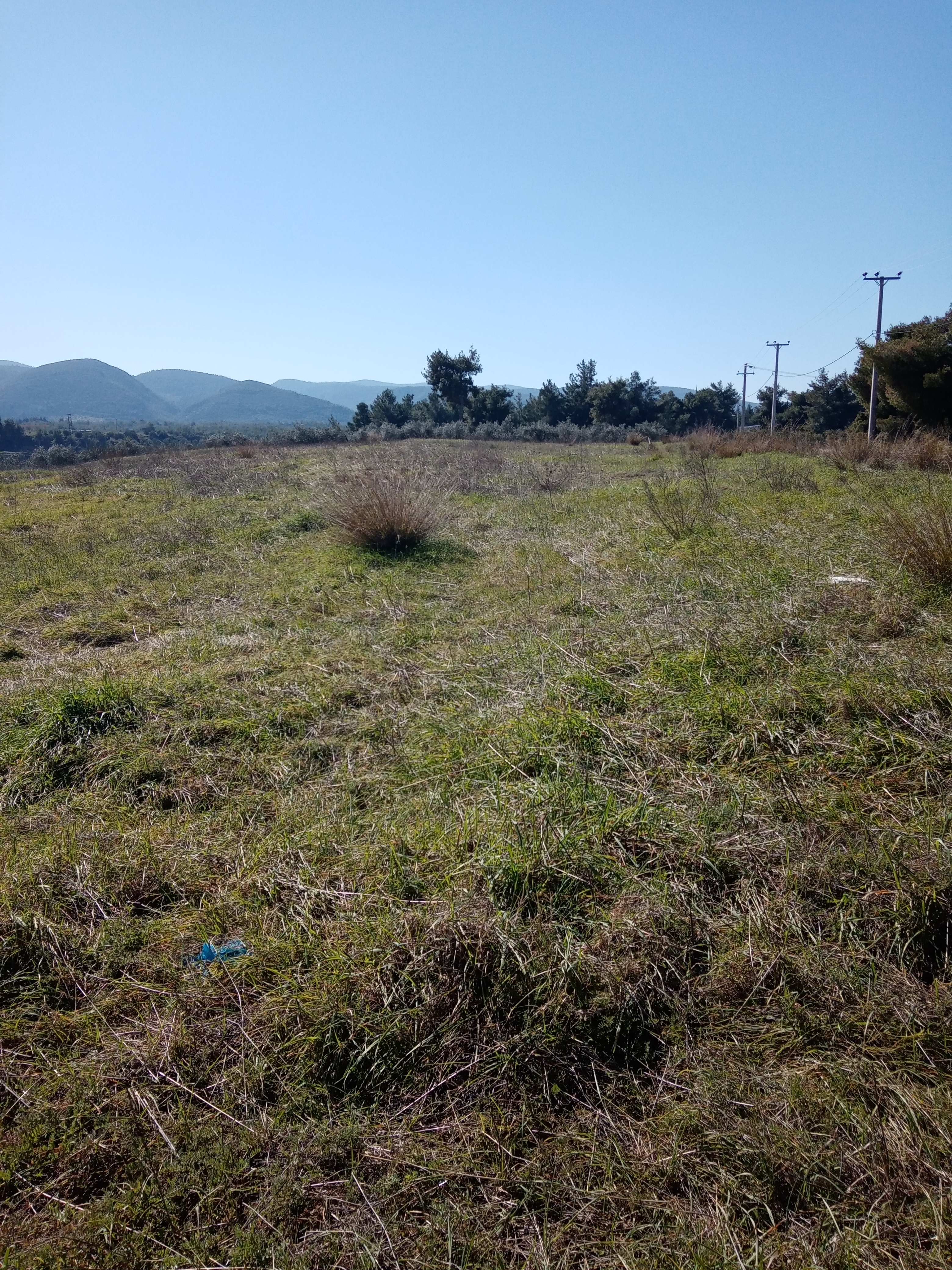 Αυλώνα Εντός ΒΙ-ΠΑ Έκταση 10,6 Στρεμ. Κωδ. 714 — Φωτογραφία 3