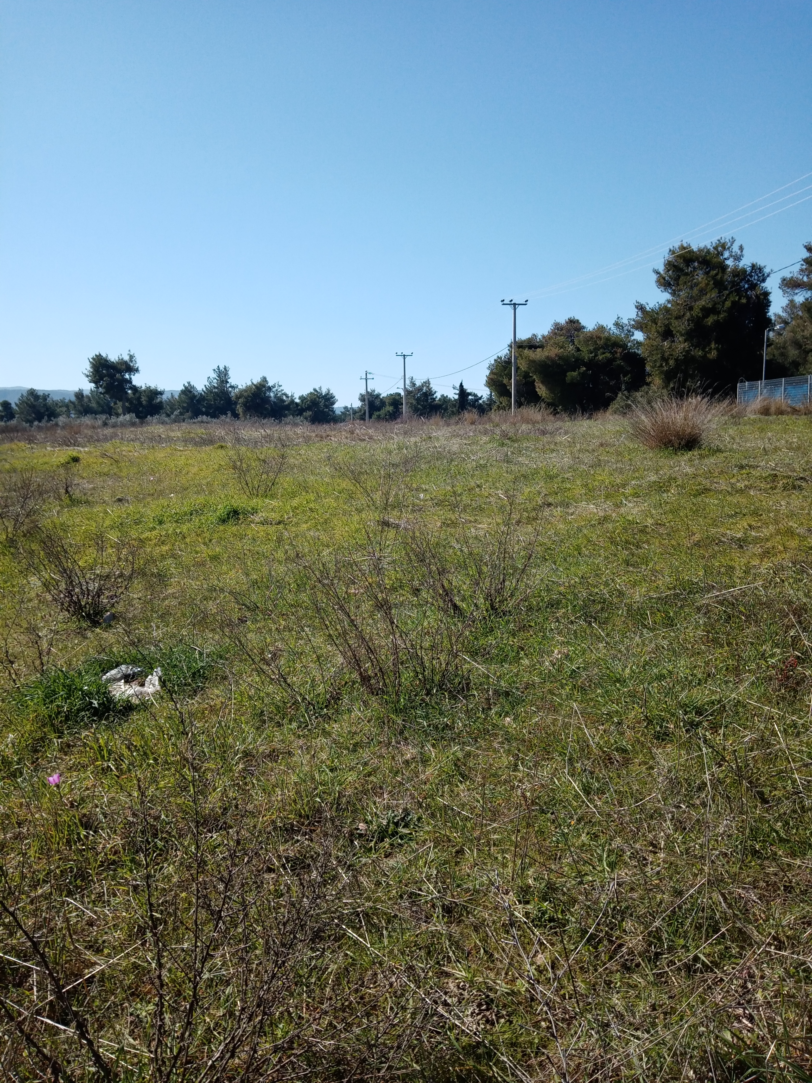 Αυλώνα Εντός ΒΙ-ΠΑ Έκταση 10,6 Στρεμ. Κωδ. 714 — Φωτογραφία 4