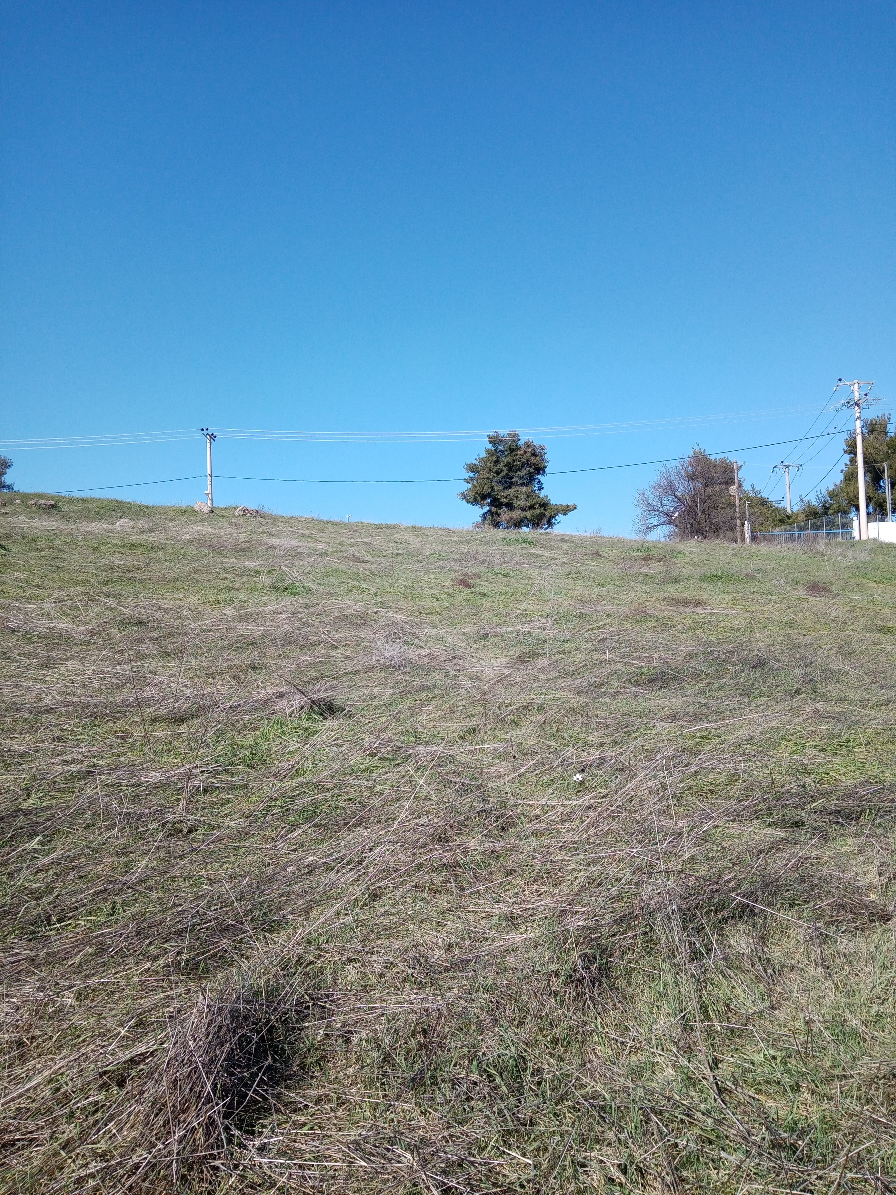 Αυλώνα Εντός ΒΙ-ΠΑ Έκταση 10,6 Στρεμ. Κωδ. 714 — Φωτογραφία 5