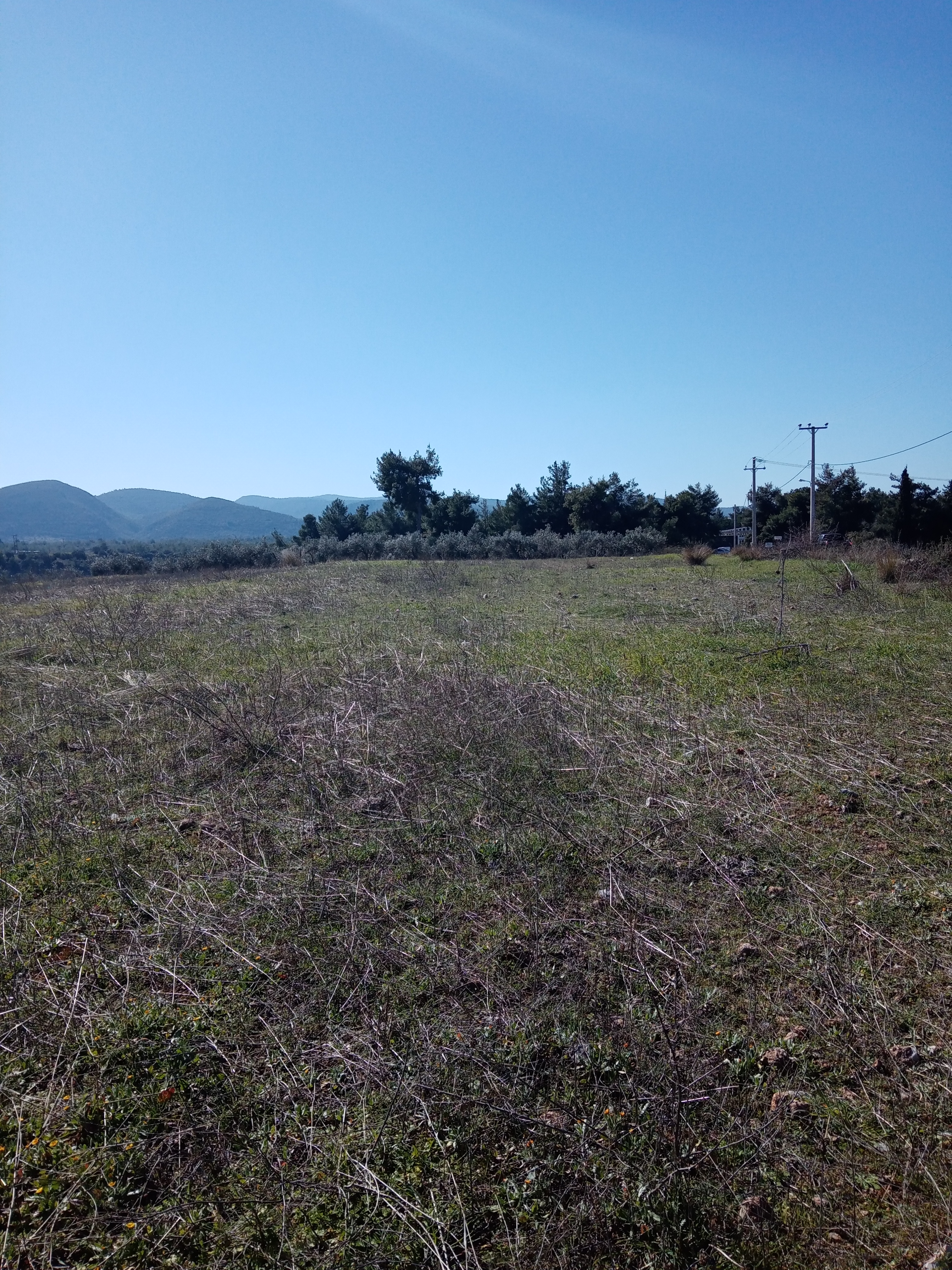 Αυλώνα Εντός ΒΙ-ΠΑ Έκταση 10,6 Στρεμ. Κωδ. 714 — Φωτογραφία 6