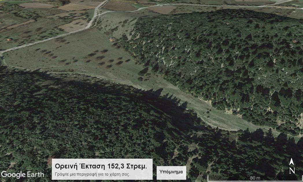 ΜΑΙΝΑΛΟ ΟΡΕΙΝΗ ΕΚΤΑΣΗ 152,3 ΣΤΡΕΜ. ΚΩΔ: 726