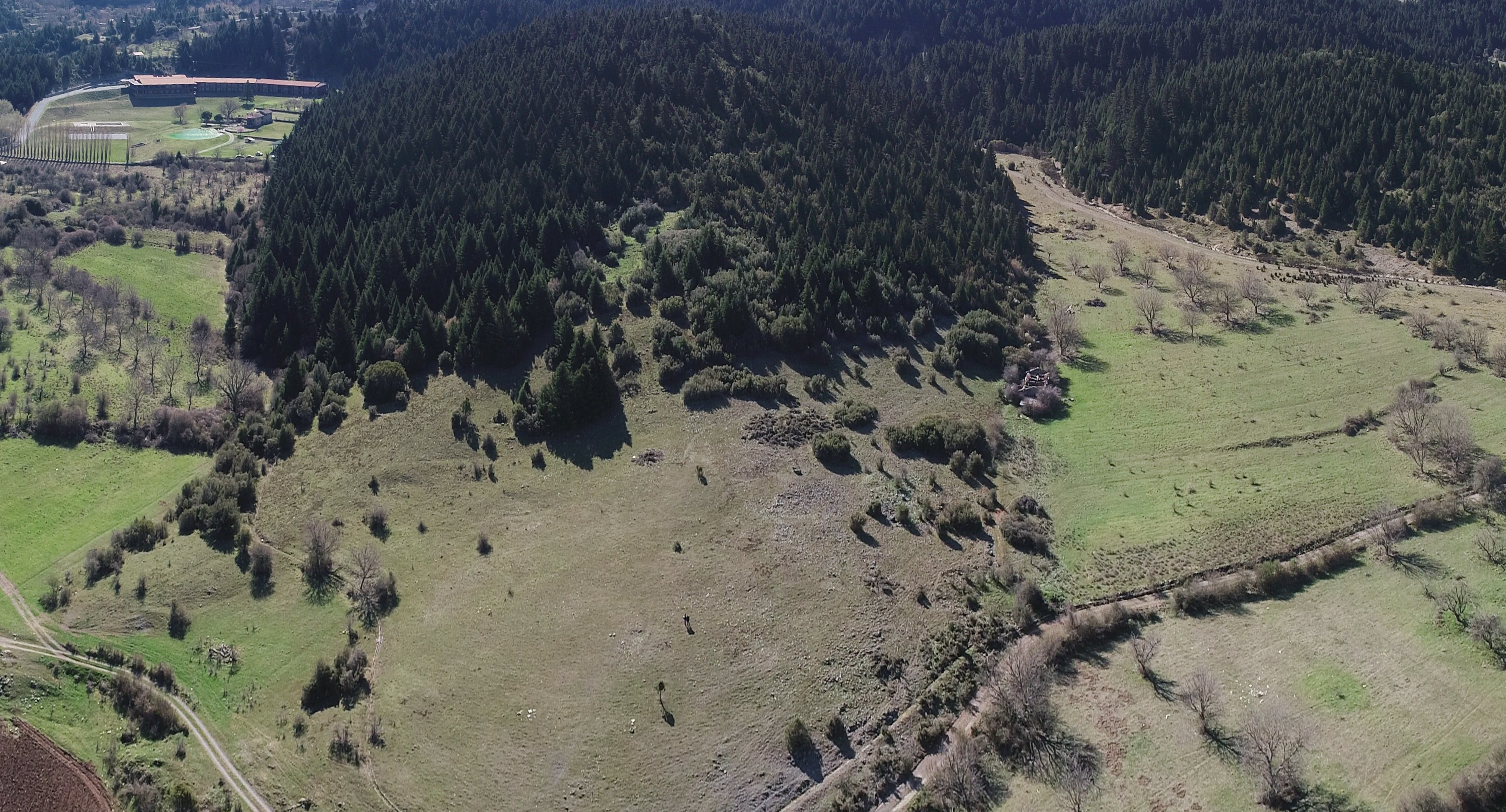 ΜΑΙΝΑΛΟ ΟΡΕΙΝΗ ΕΚΤΑΣΗ 152,3 ΣΤΡΕΜ. ΚΩΔ: 726 — Φωτογραφία 4