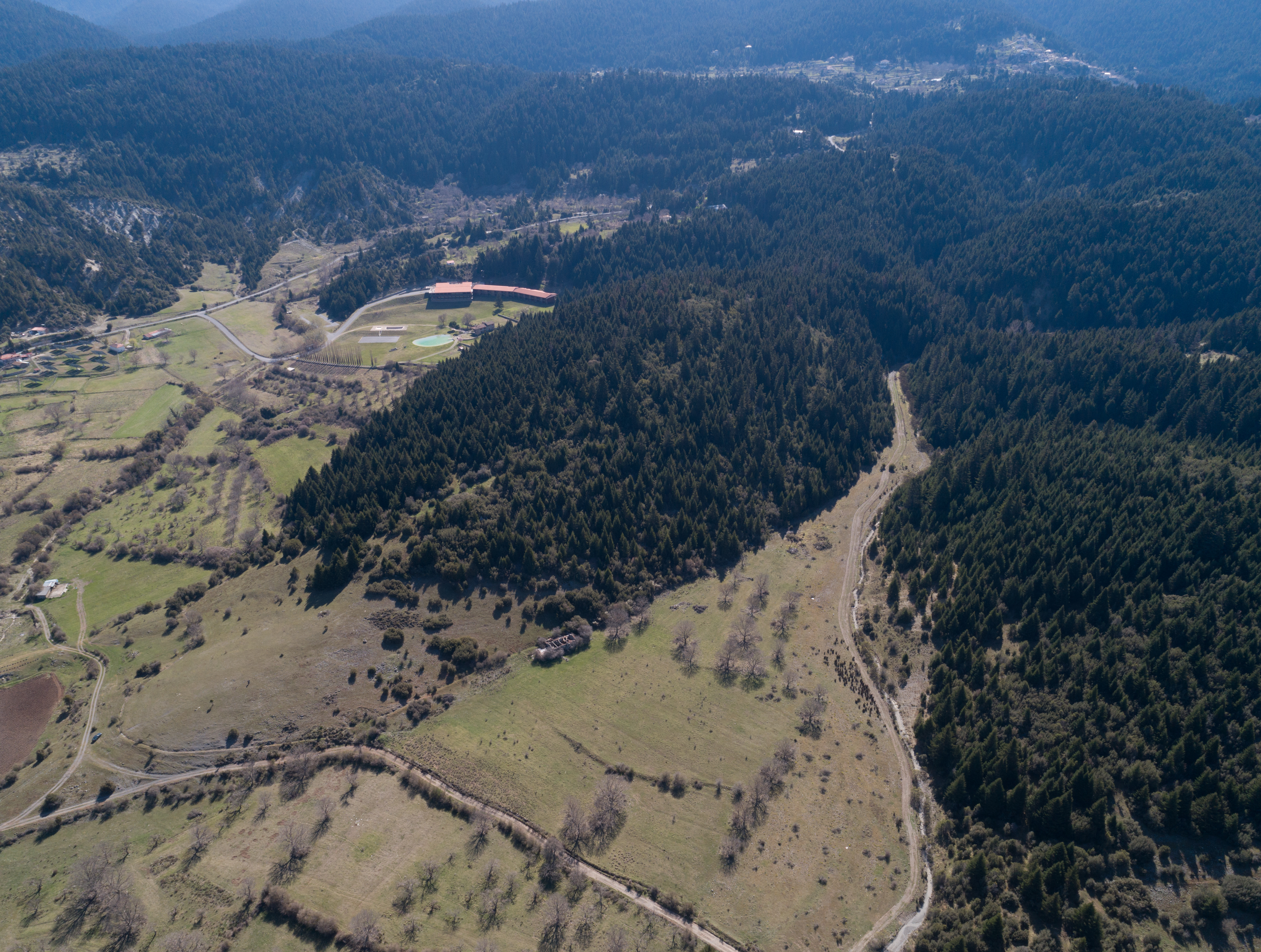 ΜΑΙΝΑΛΟ ΟΡΕΙΝΗ ΕΚΤΑΣΗ 152,3 ΣΤΡΕΜ. ΚΩΔ: 726 — Φωτογραφία 5