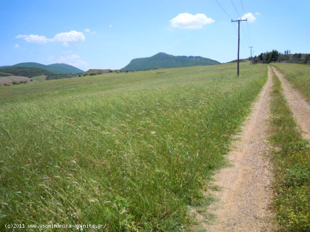 Θηβα Εκταση 350 στρεμ. - Κωδ. 337