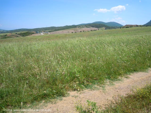 Θηβα Εκταση 350 στρεμ. - Κωδ. 337 — Φωτογραφία 2