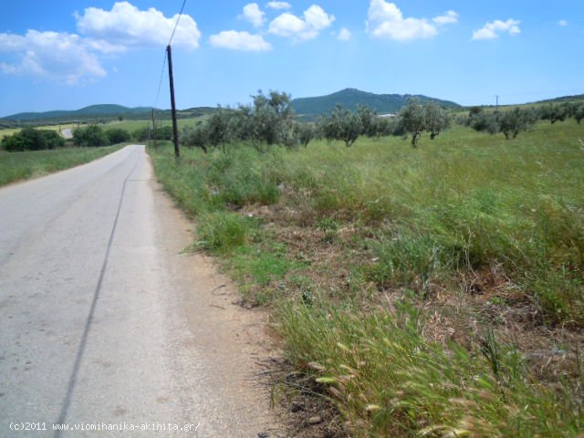 Θηβα Εκταση 350 στρεμ. - Κωδ. 337 — Φωτογραφία 9