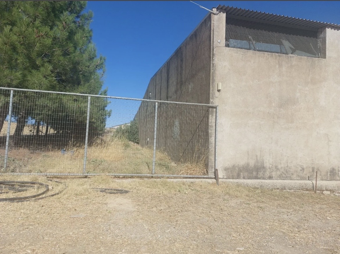 Οινόφυτα Βιομηχανική Έκταση  31 στρεμμάτων Κωδ.880 — Φωτογραφία 3