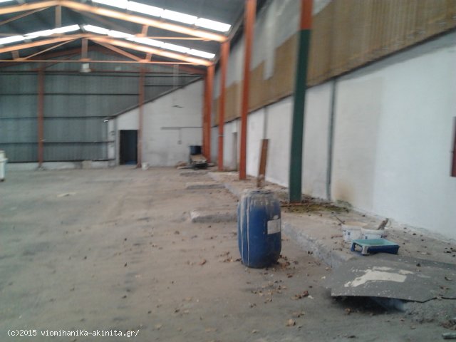 Οινόφυτα Βιοτεχνικό  Κτίριο 5305,15τμ - Κωδ. 649 — Φωτογραφία 3