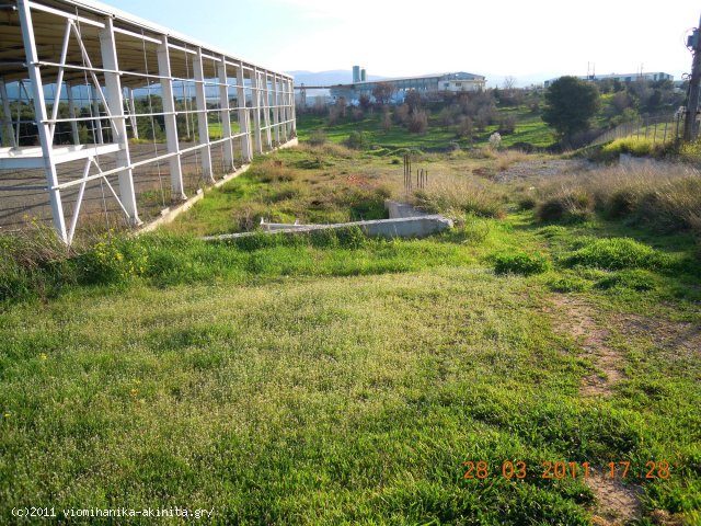 Οινόφυτα Βιομηχανικό Κτίριο 1490τμ - Κωδ. 220