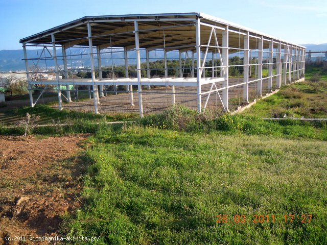 Οινόφυτα Βιομηχανικό Κτίριο 1490τμ - Κωδ. 220 — Φωτογραφία 2