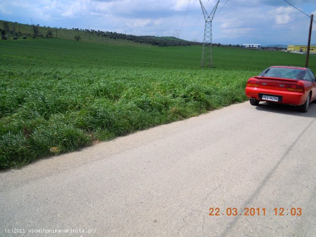 Θηβα Εκταση 67,5 Στρεμ. - Κωδ. 345 — Φωτογραφία 3