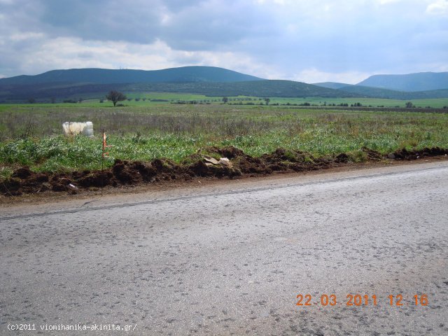 Θηβα Εκταση 31 Στρεμ. - Κωδ. 348 — Φωτογραφία 2