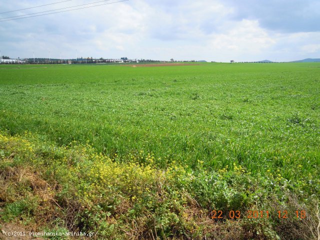 Θηβα Εκταση 400 Στρεμ. - Κωδ. 349