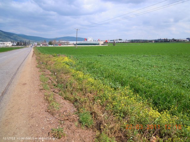 Θηβα Εκταση 400 Στρεμ. - Κωδ. 349 — Φωτογραφία 2