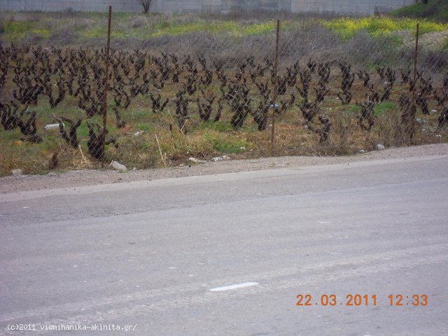 Ριτσωνα Βιομηχανικη Εκταση 10,8 Στρεμ. - Κωδ. 352