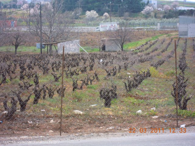 Ριτσωνα Βιομηχανικη Εκταση 10,8 Στρεμ. - Κωδ. 352 — Φωτογραφία 2