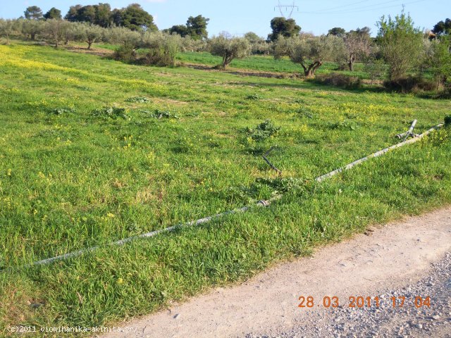 Οινοφυτα Βιομηχανικη Εκταση 100 Στρεμ. - Κωδ. 353 — Φωτογραφία 2