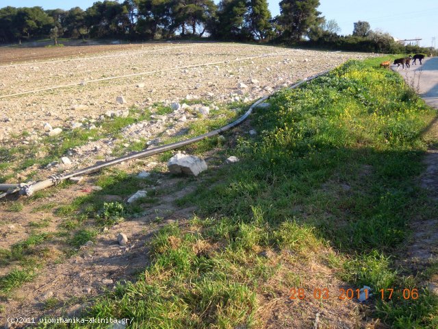 Οινοφυτα Βιομηχανικη Εκταση 34 Στρεμ. - Κωδ. 354 — Φωτογραφία 2