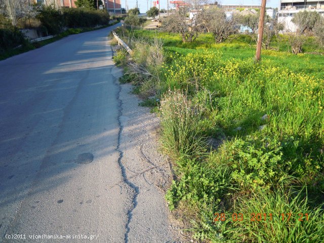 Οινοφυτα Βιομηχανικη Εκταση 20,5 Στρεμ. - Κωδ. 355 — Φωτογραφία 2