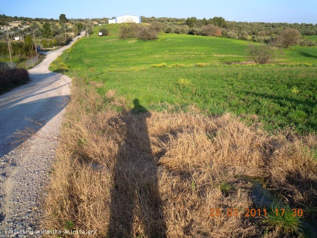Οινοφυτα Βιομηχανικη Εκταση 8,5 Στρεμ. - Κωδ. 356