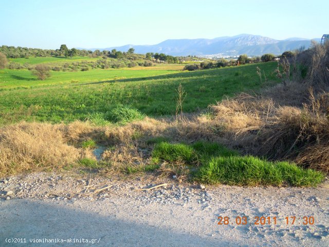 Οινοφυτα Βιομηχανικη Εκταση 8,5 Στρεμ. - Κωδ. 356 — Φωτογραφία 2
