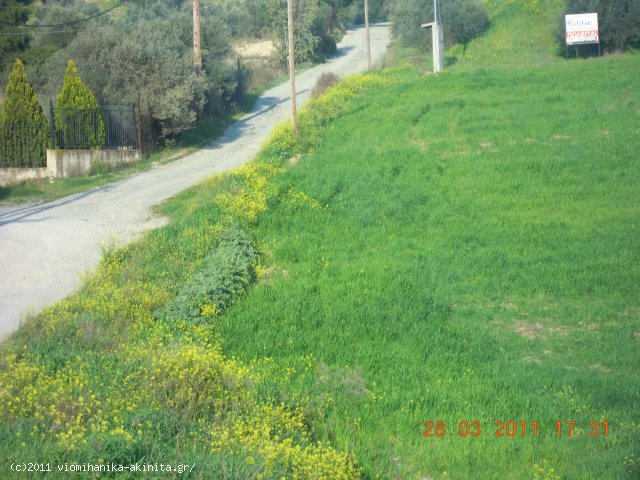 Οινοφυτα Βιομηχανικη Εκταση 7,3 Στρεμ. - Κωδ. 357