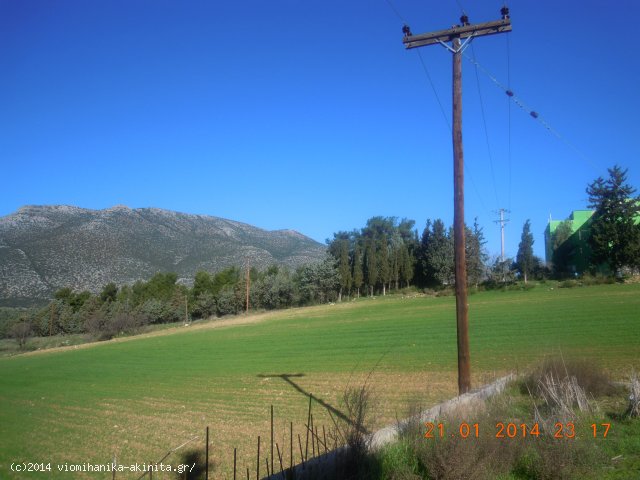Ελεωνας θηβων Βιομηχανικη Εκταση 5 Στρεμ. - Κωδ. 251