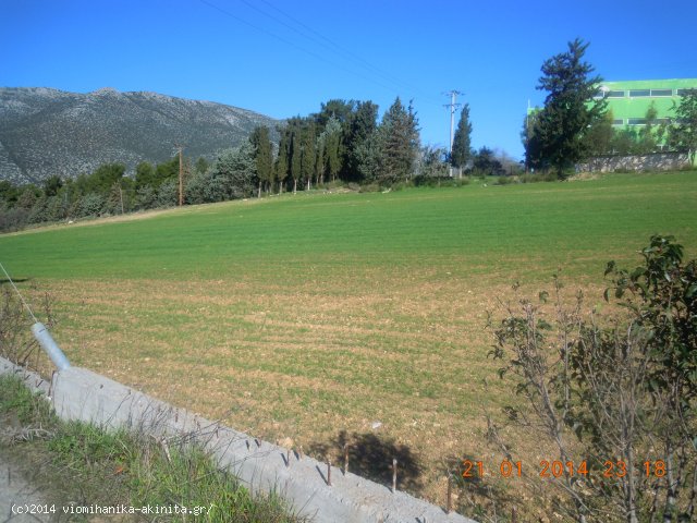 Ελεωνας θηβων Βιομηχανικη Εκταση 5 Στρεμ. - Κωδ. 251 — Φωτογραφία 2