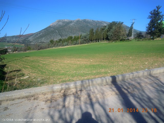 Ελεωνας θηβων Βιομηχανικη Εκταση 5 Στρεμ. - Κωδ. 251 — Φωτογραφία 3