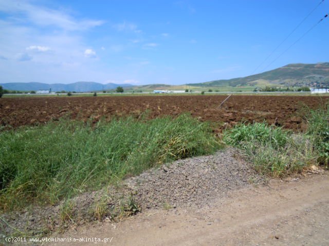 Υπατο Βιομηχανικη Εκταση 169 Στρεμ. - Κωδ. 259 — Φωτογραφία 2