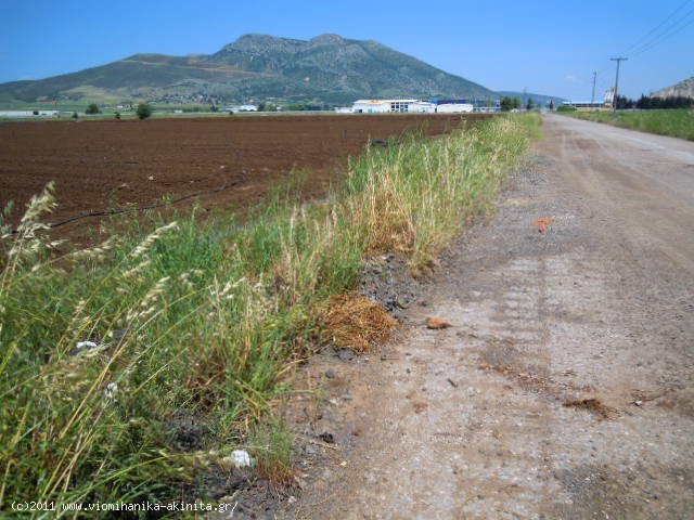Υπατο Βιομηχανικη Εκταση 169 Στρεμ. - Κωδ. 259 — Φωτογραφία 3