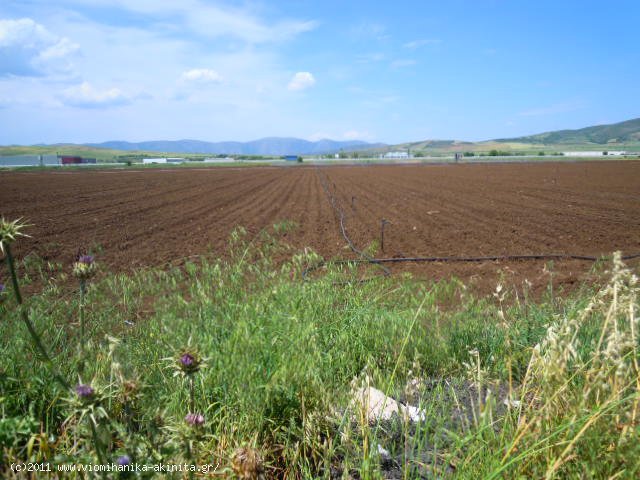 Υπατο Βιομηχανικη Εκταση 169 Στρεμ. - Κωδ. 259 — Φωτογραφία 4