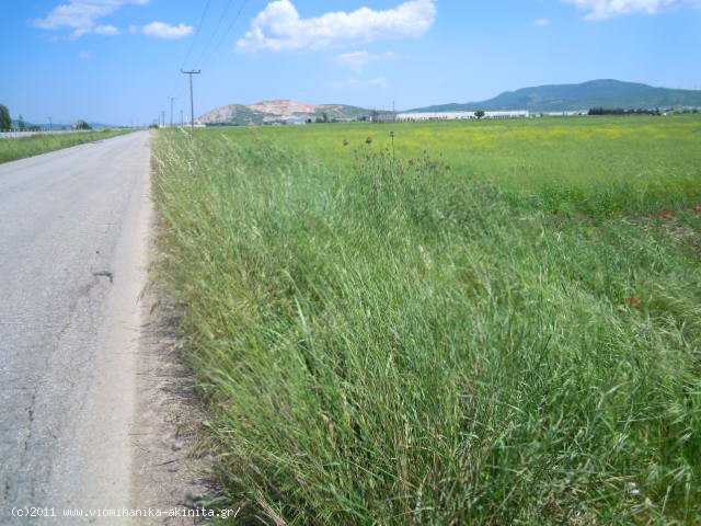 Υπατο Θηβων εκταση 434 Στρεμ. - Κωδ. 262