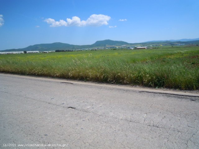 Υπατο Θηβων εκταση 434 Στρεμ. - Κωδ. 262 — Φωτογραφία 2