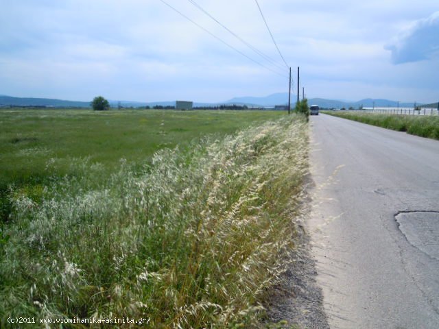Υπατο Θηβων εκταση 434 Στρεμ. - Κωδ. 262 — Φωτογραφία 3