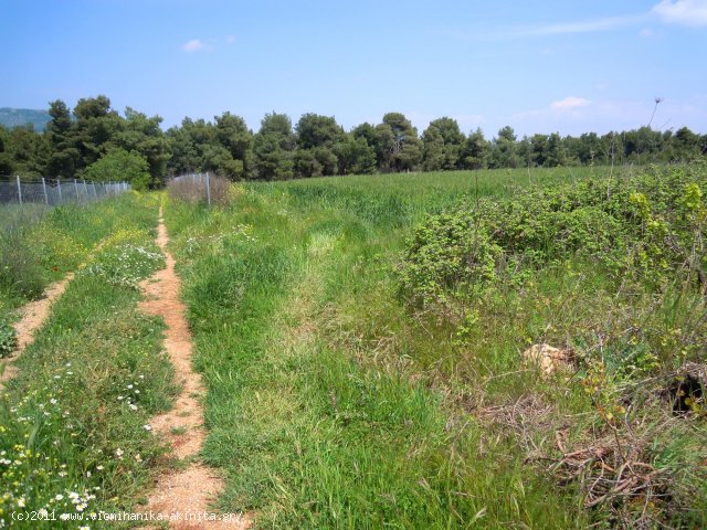 Ριτσωνα Βιομηχανικη Εκταση 15,8 Στρεμ. - Κωδ. 374 — Φωτογραφία 2