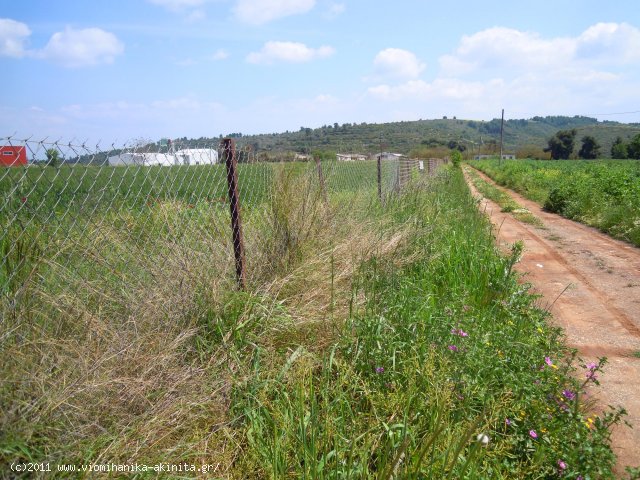 Ριτσωνα Βιομηχανικη Εκταση 12 Στρεμ. - Κωδ. 375
