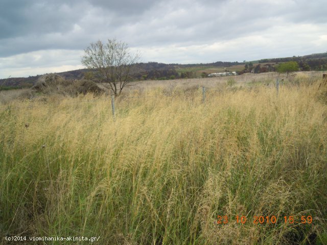 Ριτσωνα Βιομηχανικη Εκταση 70 Στρεμ. - Κωδ. 380