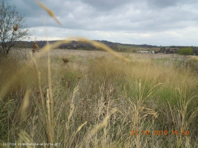 Ριτσωνα Βιομηχανικη Εκταση 70 Στρεμ. - Κωδ. 380 — Φωτογραφία 2